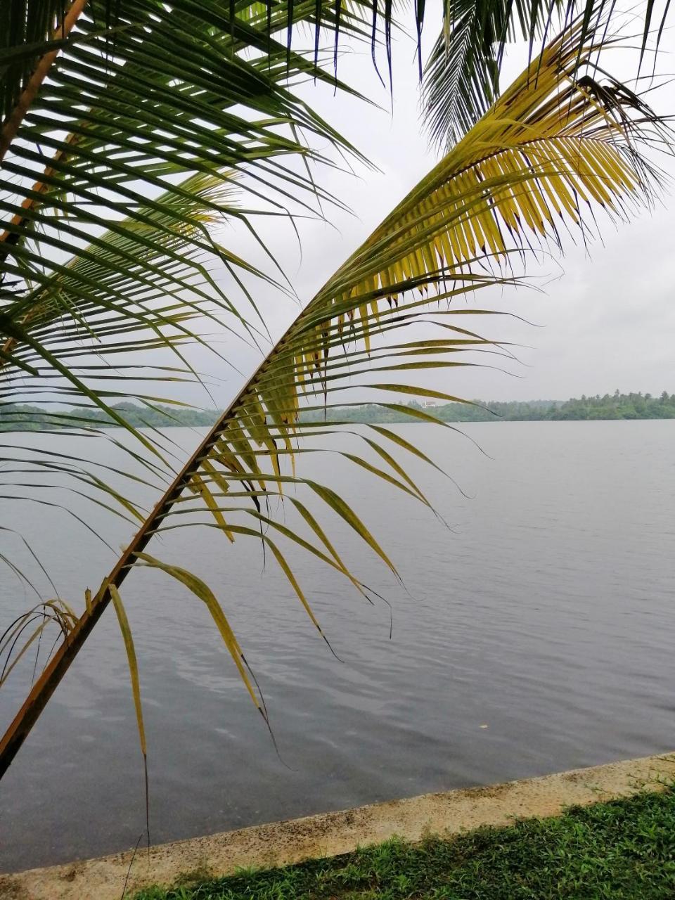Hikka Lagoon Hikkaduwa Exterior foto